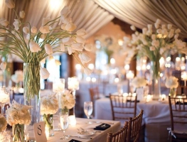 wedding-decorations-sydney-2-tulip
